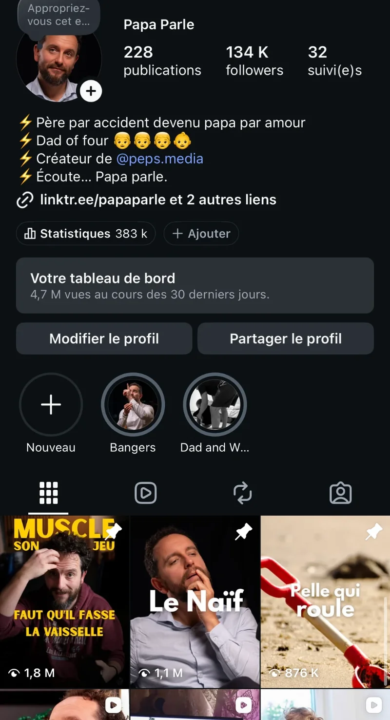 Capture d'écran du compte Instagram @papaparle : 134 000 abonnés et 4,7 millions de vues sur les 30 derniers jours
