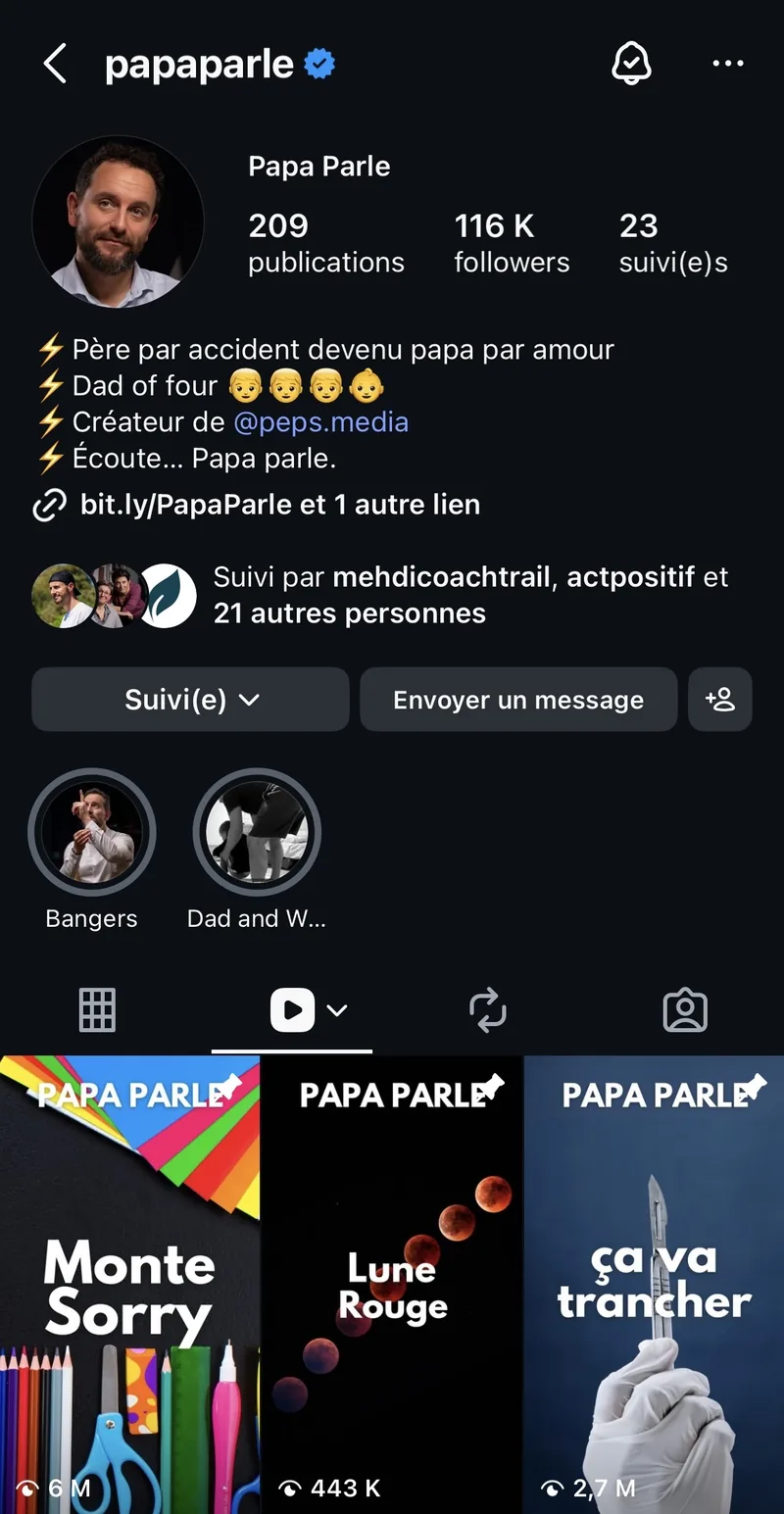 Capture d'écran du compte Instagram @papaparle — 116K followers